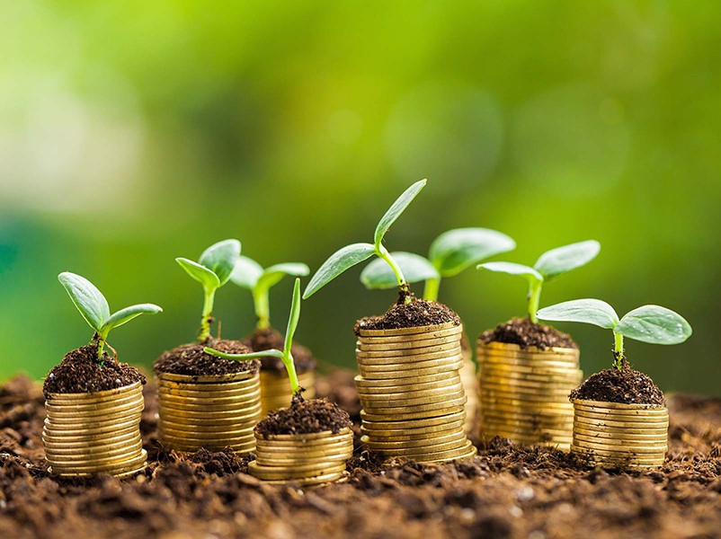 Green cryptocurrencies – clean money for the future