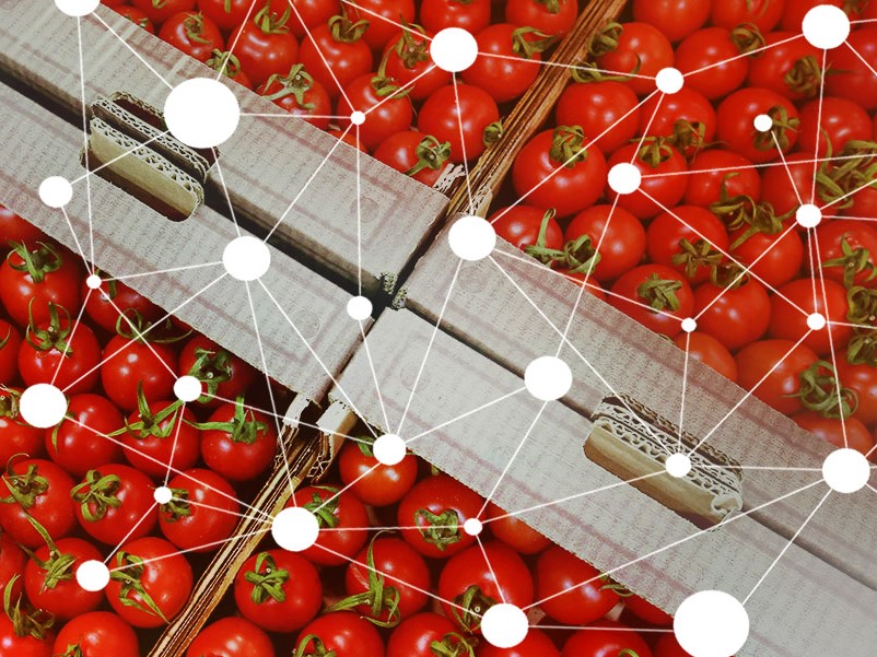 New tomatoes supply chain on blockchain