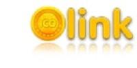 https://icolink.com/